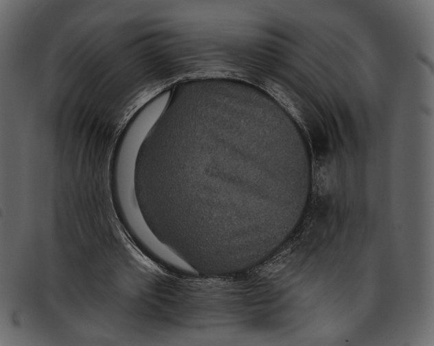 X0000097510389200803201620