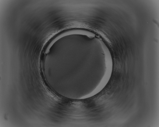 X0000097510391200803201620