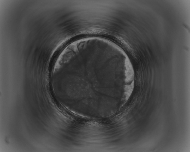 X0000097510392200803201620