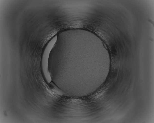 X0000097510393200803201620
