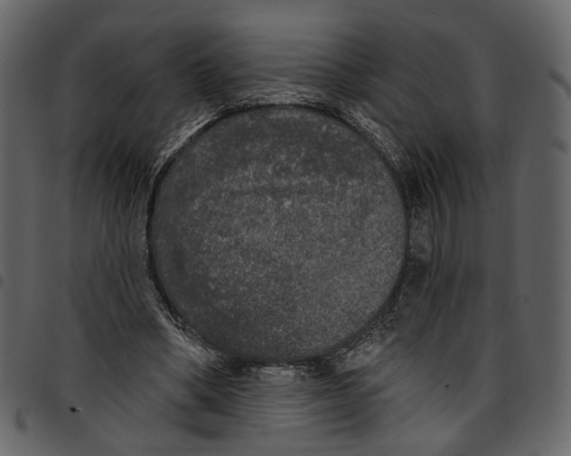 X0000097510394200803201620