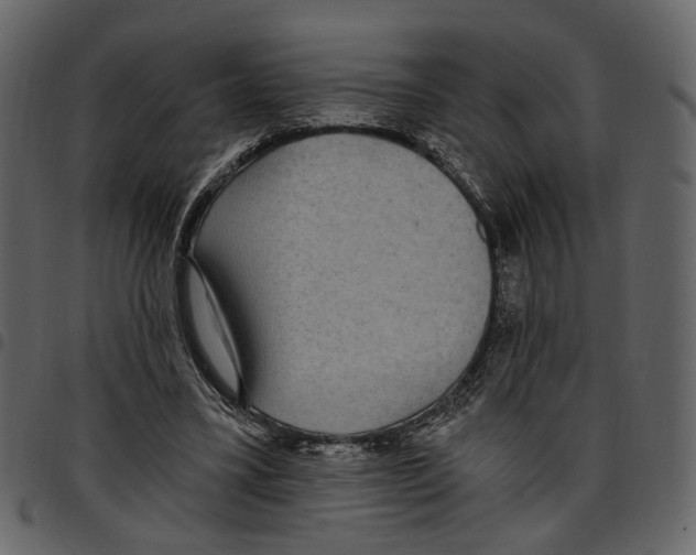 X0000097510395200803201620