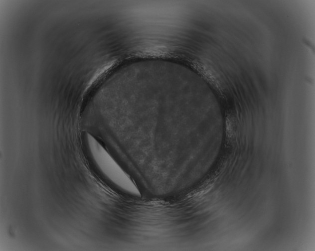 X0000097510396200803201620