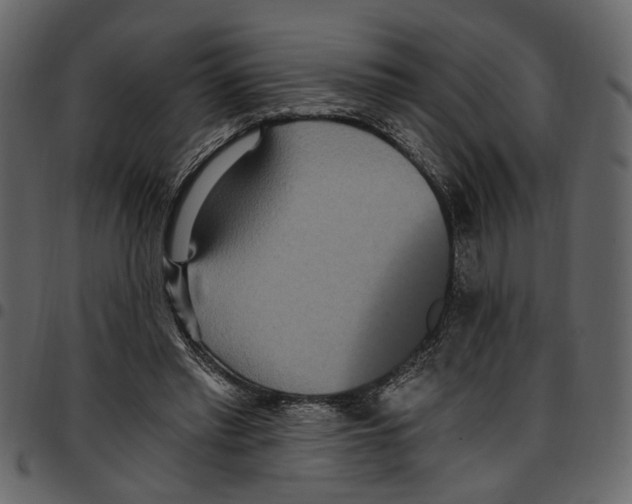 X0000097510397200803201620