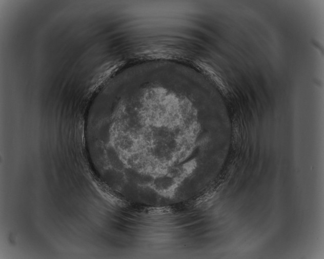 X0000097510398200803201620