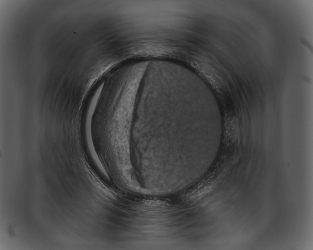 X0000097510399200803201620