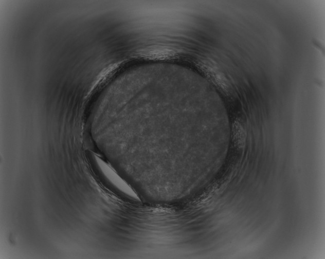 X0000097510400200803201620