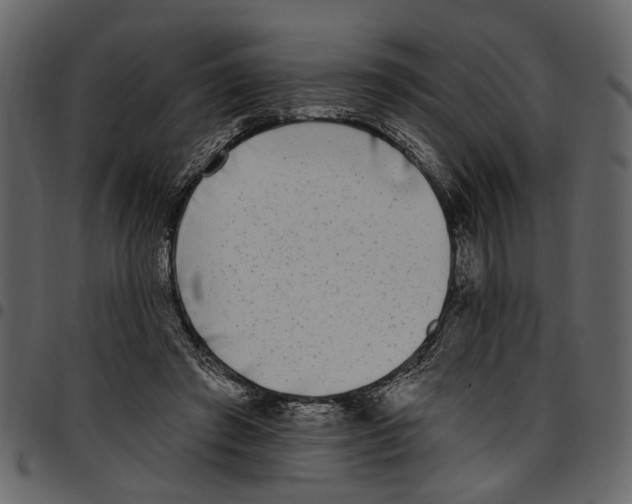 X0000097510401200803201620