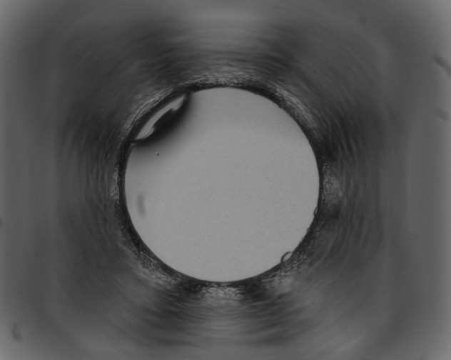 X0000097510403200803201620