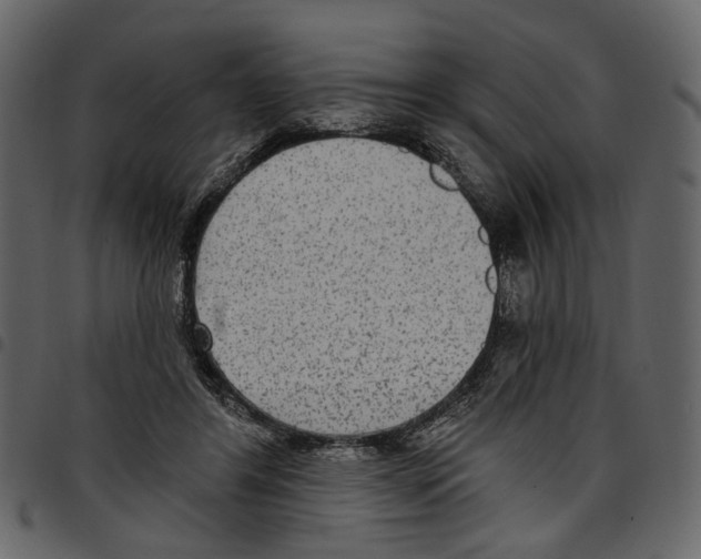 X0000097510404200803201620