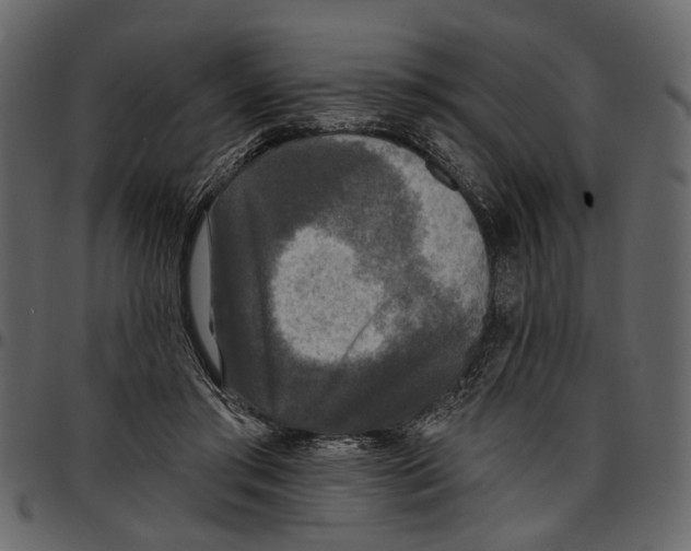 X0000097510405200803201619
