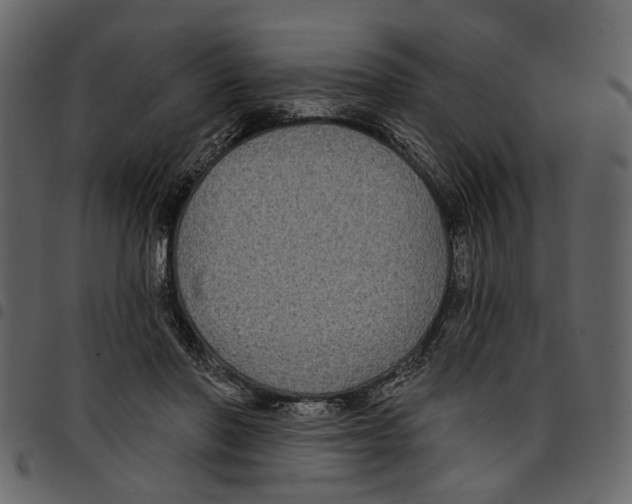 X0000097510406200803201619