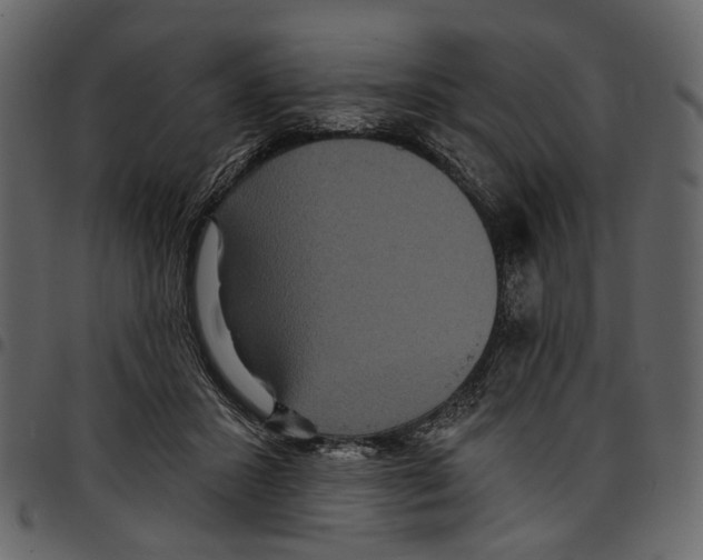 X0000097510407200803201619