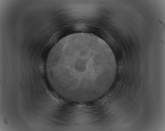 X0000097510408200803201619