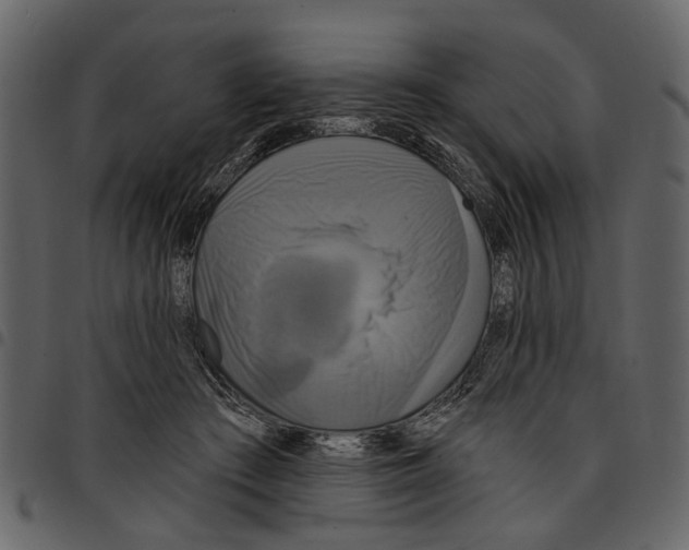 X0000097510409200803201619