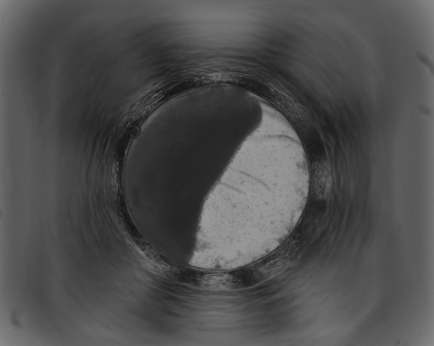 X0000097510410200803201619