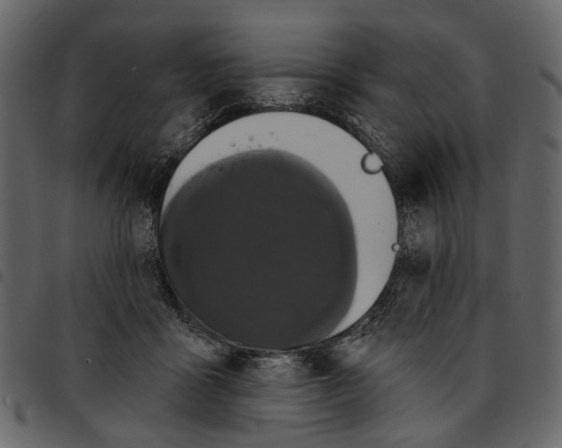 X0000097510411200803201619