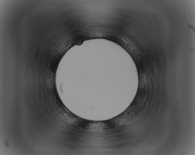 X0000097510414200803201619