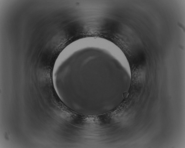 X0000097510415200803201619