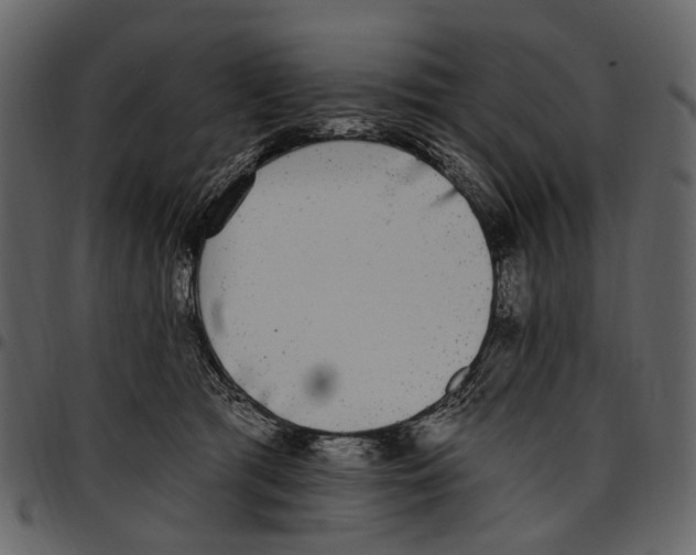 X0000097510417200803201619