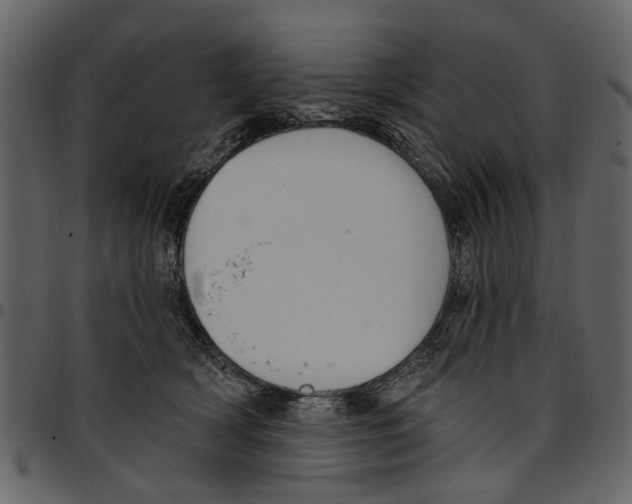 X0000097510418200803201619