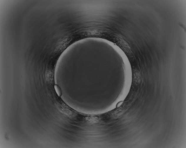 X0000097510419200803201619