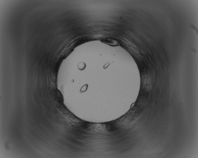 X0000097510421200803201619