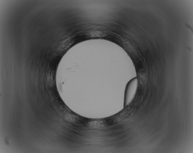 X0000097510422200803201619