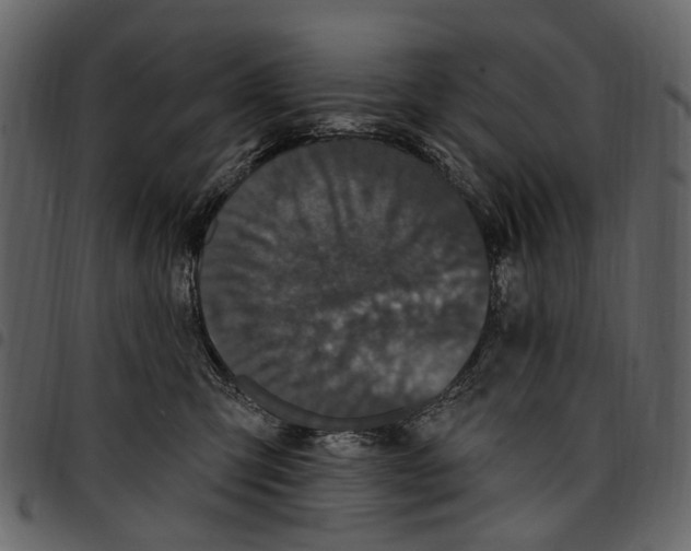 X0000097510423200803201619