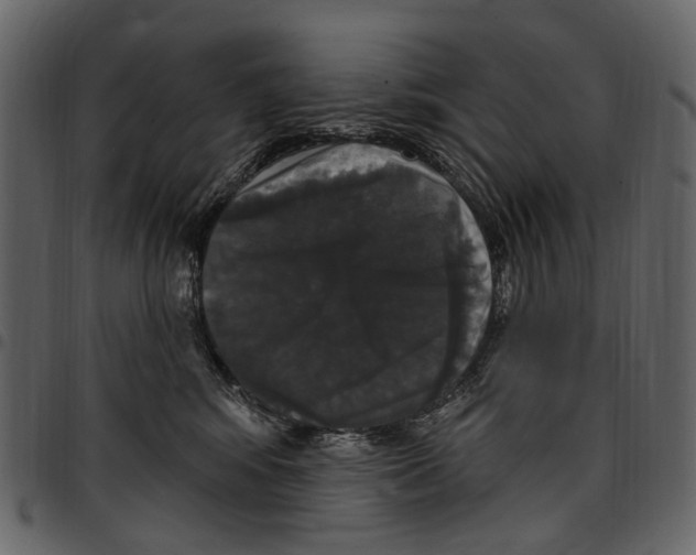 X0000097510424200803201619