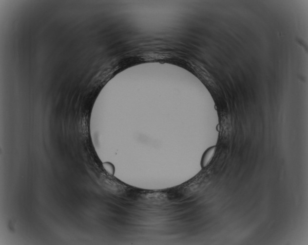 X0000097510426200803201619