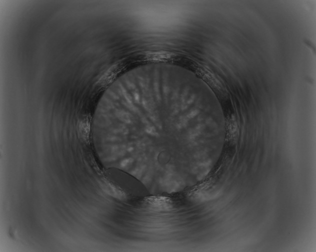 X0000097510427200803201619