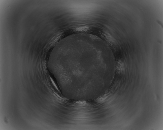 X0000097510428200803201619