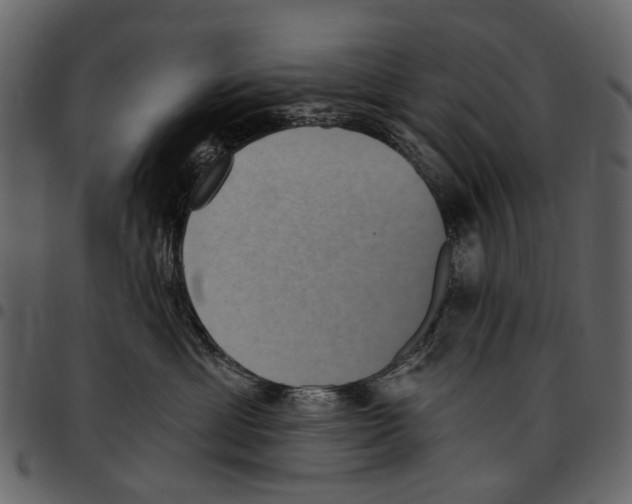 X0000097510429200803201619