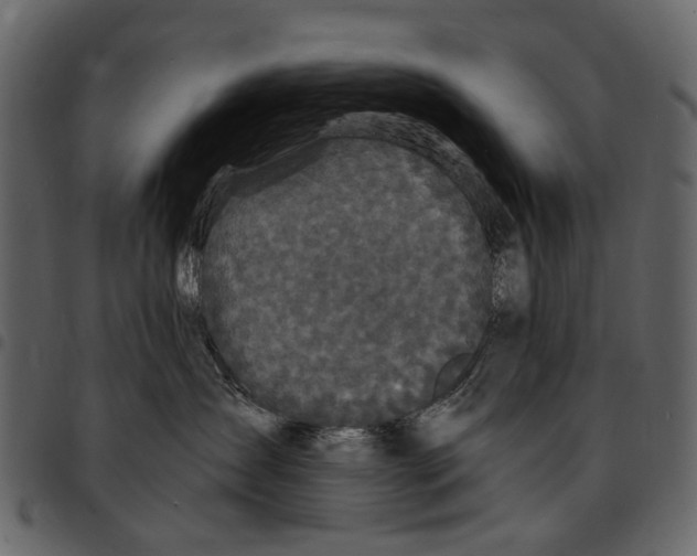 X0000097510431200803201619