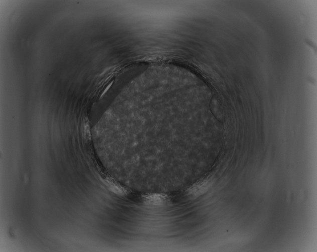 X0000097510432200803201619
