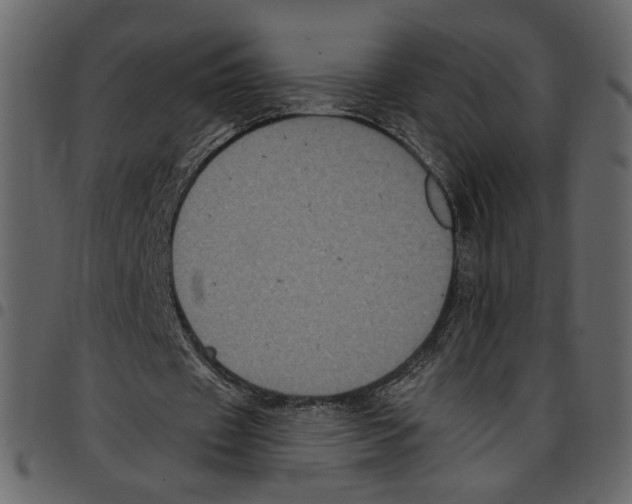 X0000097510433200803201618