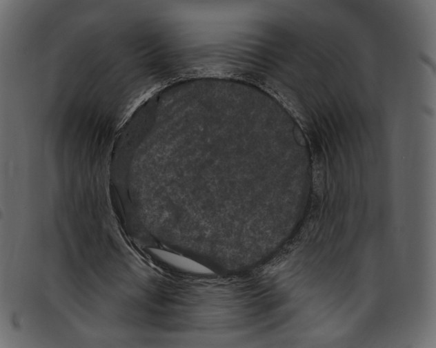 X0000097510434200803201618