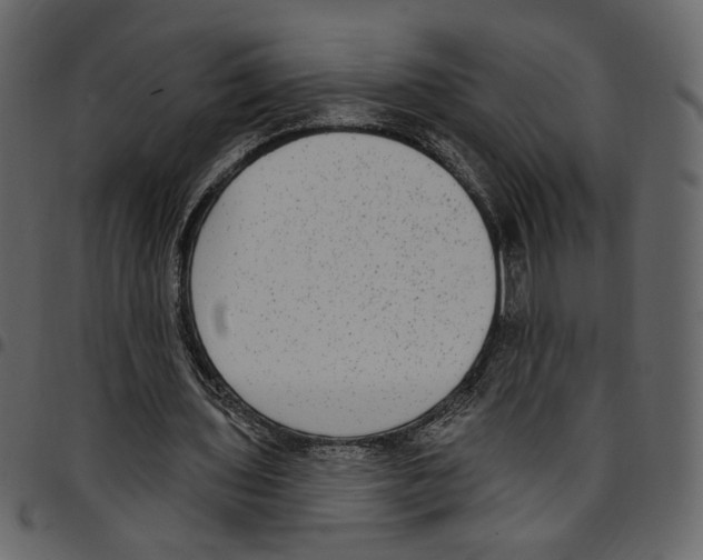 X0000097510435200803201618