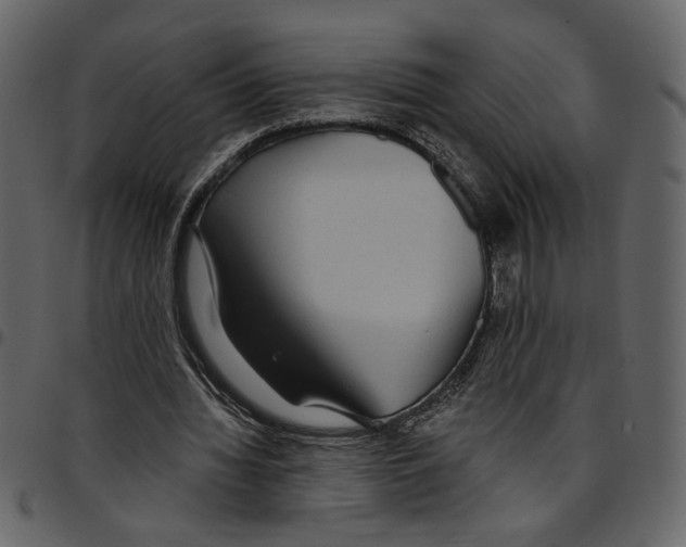 X0000097510436200803201619