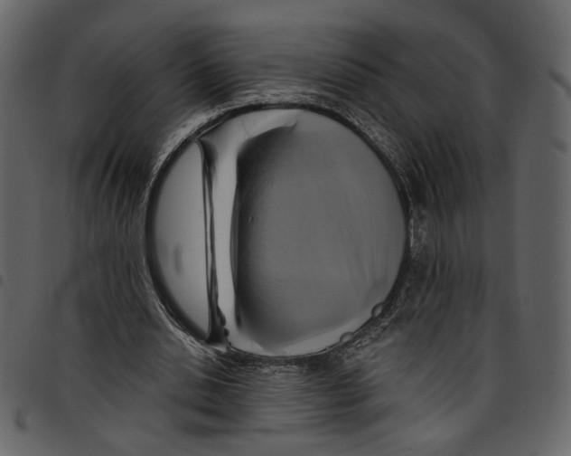 X0000097510438200803201619