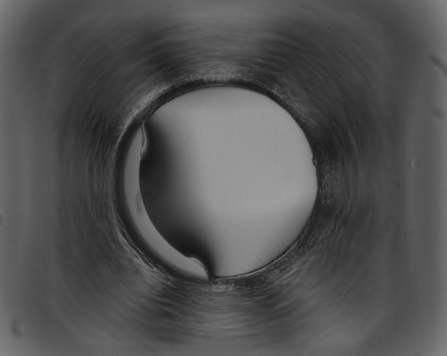X0000097510440200803201619
