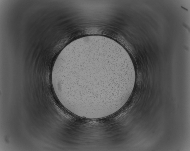 X0000097510441200803201619