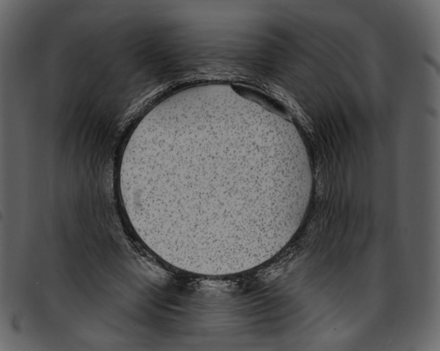 X0000097510442200803201619