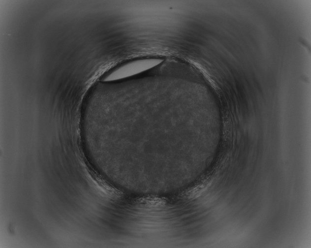 X0000097510443200803201619