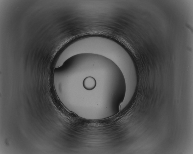 X0000097510444200803201619