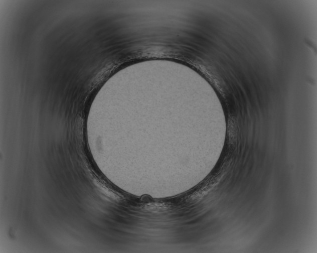 X0000097510445200803201619