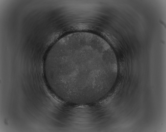 X0000097510447200803201619