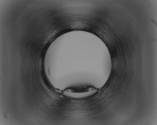 X0000097510448200803201619