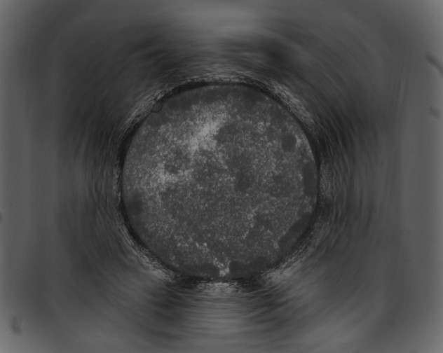 X0000097510449200803201619